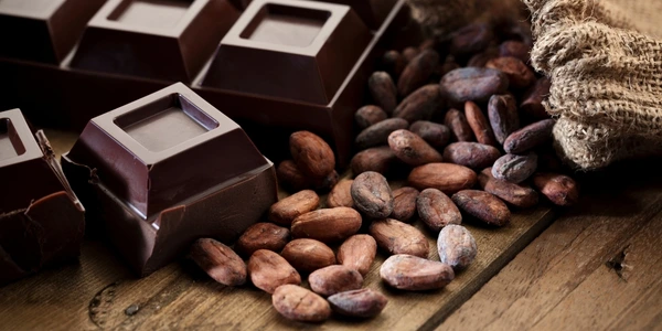 bienfaits chocolat noir